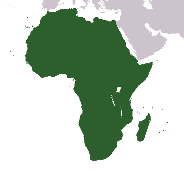Africa holds firm despite external challenges