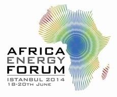 Africa Energy Forum 2014