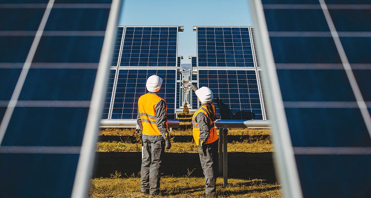 Two workers inspecting solar panels. 